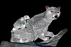 zoo19-36